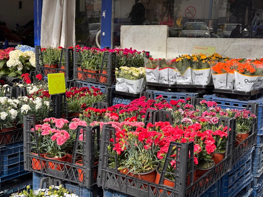 A display of various potted blooming flowers, predominantly pink, red, white, yellow, and orange, arranged in black plastic crates outside a flower shop. The flowers include carnations and other seaso